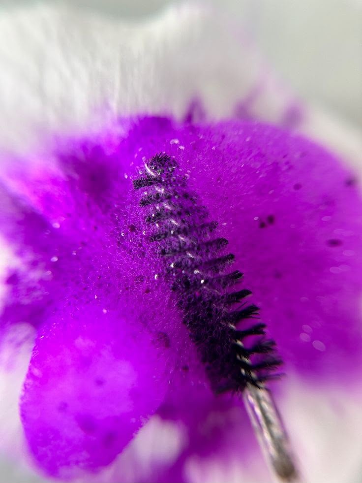 Purple-toned macro of a lash cleansing wand